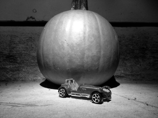 Illustration for article titled The October Photography Contest voting poll!! Vote now!!